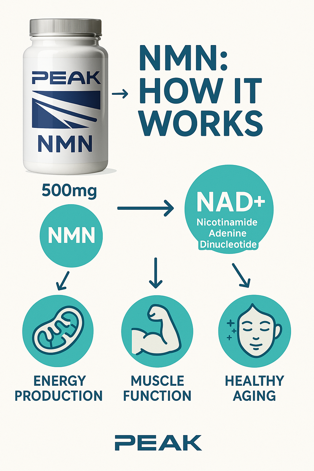 Pure NMN | 60 500mg Capsules